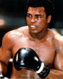 Muhammad Ali Poster