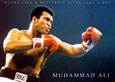 Muhammad Ali Poster
