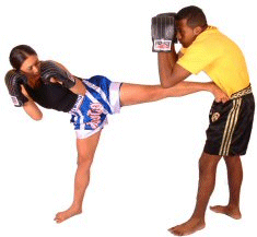 Beginner's Online Kickboxing Guide